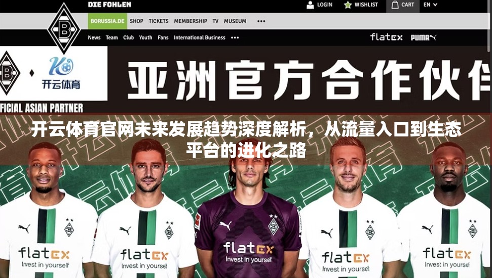 开云体育官网未来发展趋势深度解析，从流量入口到生态平台的进化之路