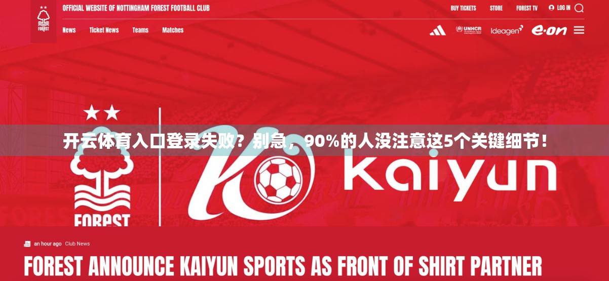 开云体育入口登录失败？别急，90%的人没注意这5个关键细节！