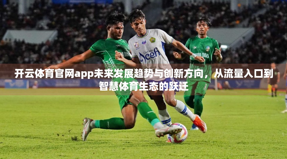 开云体育官网app未来发展趋势与创新方向，从流量入口到智慧体育生态的跃迁