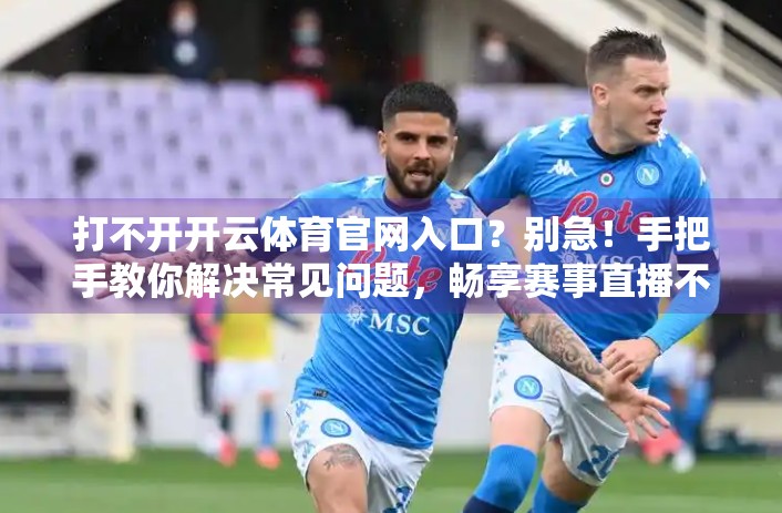 打不开开云体育官网入口？别急！手把手教你解决常见问题，畅享赛事直播不卡顿！