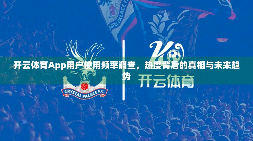 开云体育App用户使用频率调查，热度背后的真相与未来趋势