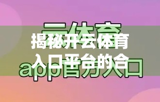 揭秘开云体育入口平台的合作伙伴生态，多元模式如何赋能体育数字化未来？