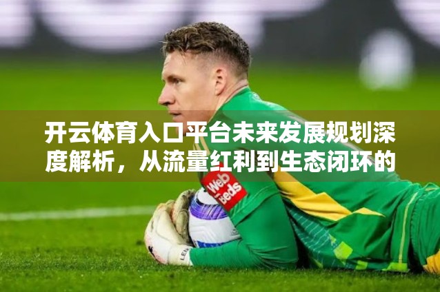 开云体育入口平台未来发展规划深度解析，从流量红利到生态闭环的跃迁之路