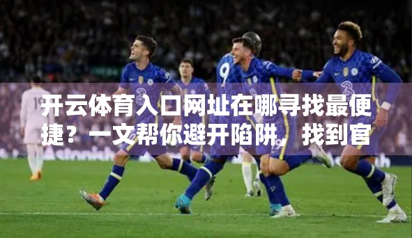开云体育入口网址在哪寻找最便捷？一文帮你避开陷阱，找到官方可靠入口！