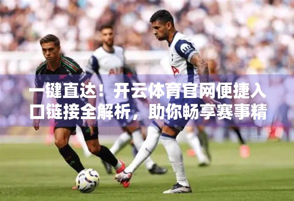一键直达！开云体育官网便捷入口链接全解析，助你畅享赛事精彩
