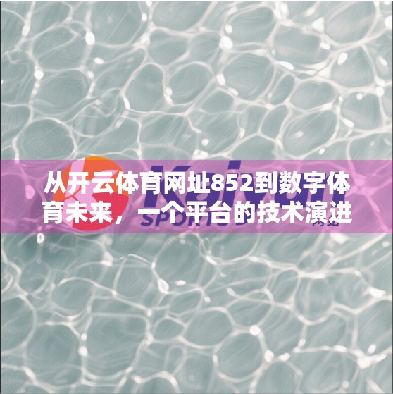 从开云体育网址852到数字体育未来，一个平台的技术演进如何重塑用户体验？