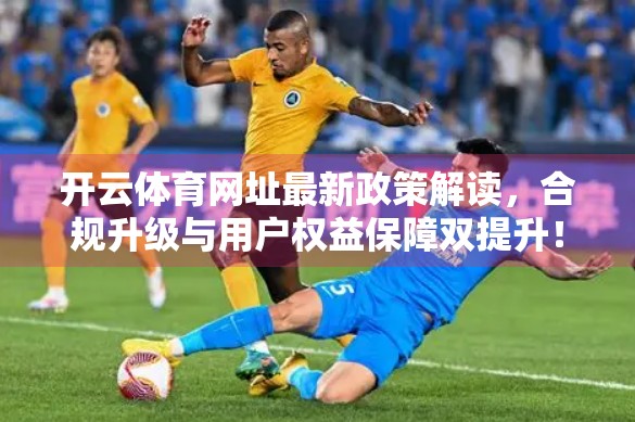 开云体育网址最新政策解读，合规升级与用户权益保障双提升！