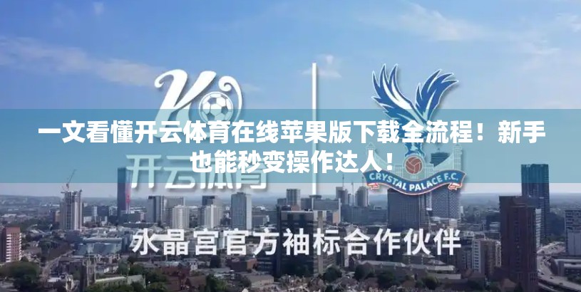 一文看懂开云体育在线苹果版下载全流程！新手也能秒变操作达人！