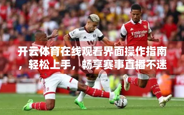 开云体育在线观看界面操作指南，轻松上手，畅享赛事直播不迷路！