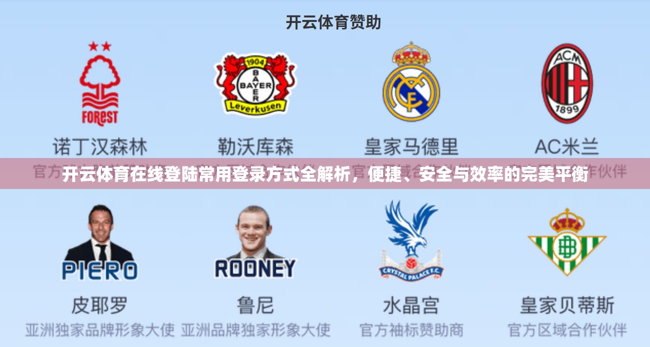 开云体育在线登陆常用登录方式全解析，便捷、安全与效率的完美平衡