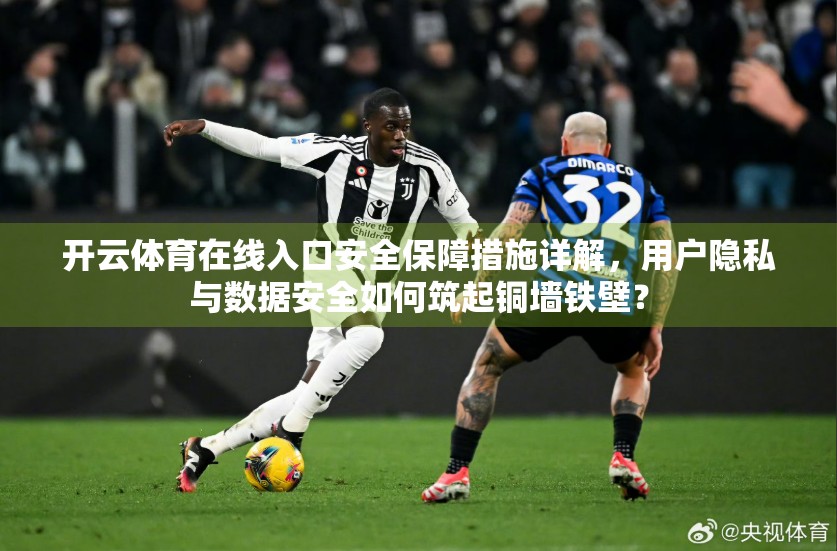 开云体育在线入口安全保障措施详解，用户隐私与数据安全如何筑起铜墙铁壁？