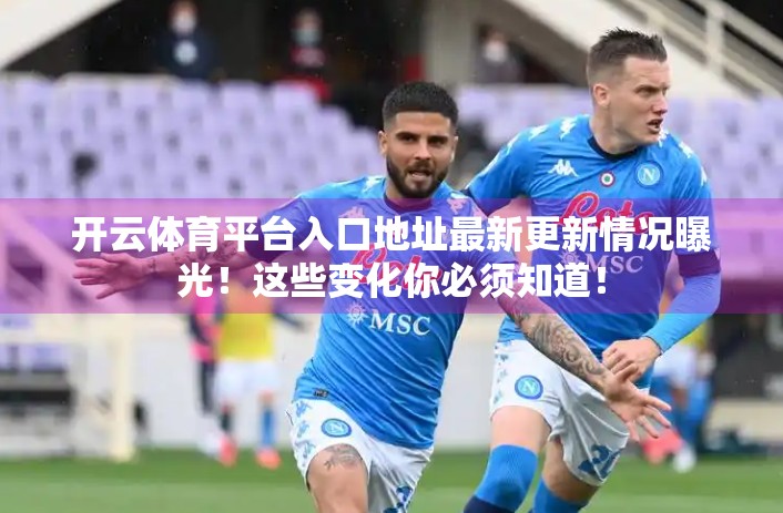 开云体育平台入口地址最新更新情况曝光！这些变化你必须知道！