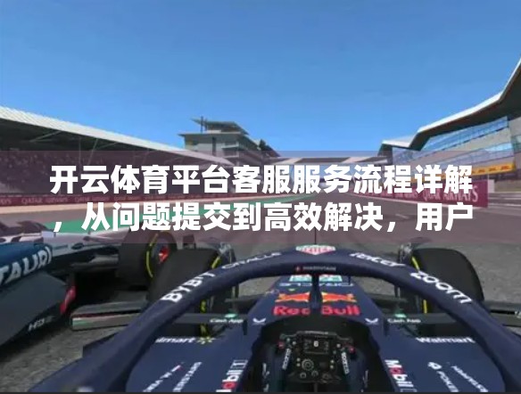 开云体育平台客服服务流程详解，从问题提交到高效解决，用户如何获得极致体验？