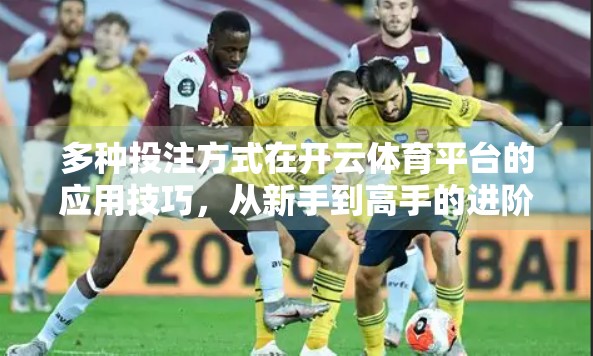 多种投注方式在开云体育平台的应用技巧，从新手到高手的进阶指南