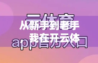 从新手到老手，我在开云体育平台的投注体验全记录，真实感受+避坑指南！