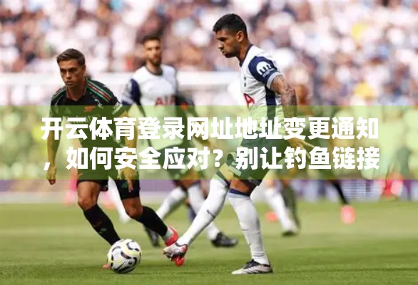 开云体育登录网址地址变更通知，如何安全应对？别让钓鱼链接骗了你！