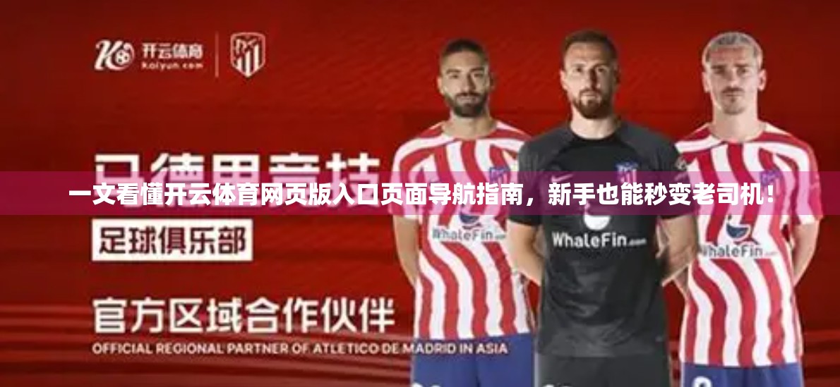 一文看懂开云体育网页版入口页面导航指南，新手也能秒变老司机！
