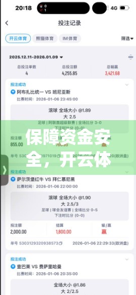 保障资金安全，开云体育娱乐app使用技巧全解析，教你玩得开心更安心！