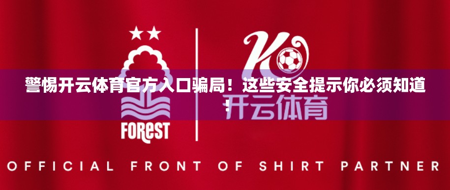 警惕开云体育官方入口骗局！这些安全提示你必须知道！