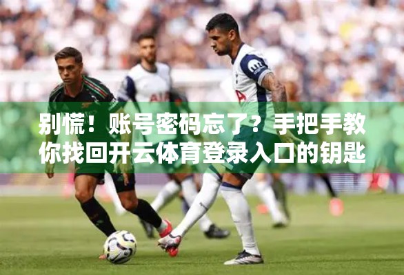 别慌！账号密码忘了？手把手教你找回开云体育登录入口的钥匙
