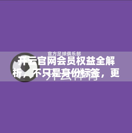 开云官网会员权益全解析，不只是身份标签，更是高阶生活方式的通行证！