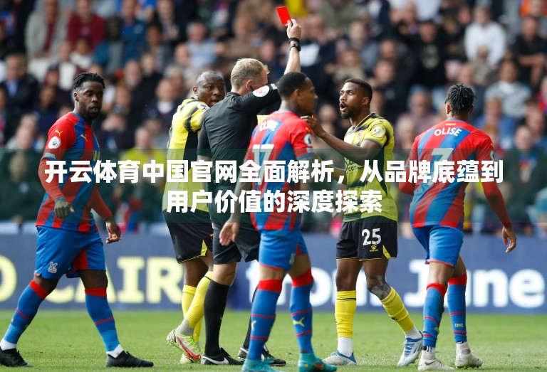 开云体育中国官网全面解析，从品牌底蕴到用户价值的深度探索