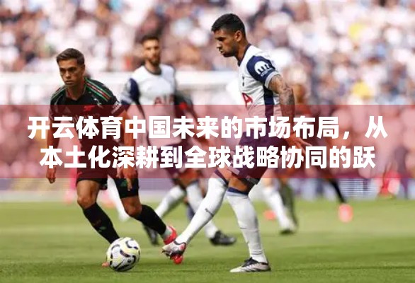 开云体育中国未来的市场布局，从本土化深耕到全球战略协同的跃迁之路
