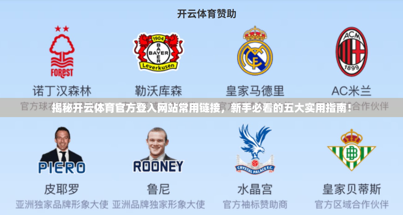 揭秘开云体育官方登入网站常用链接，新手必看的五大实用指南！