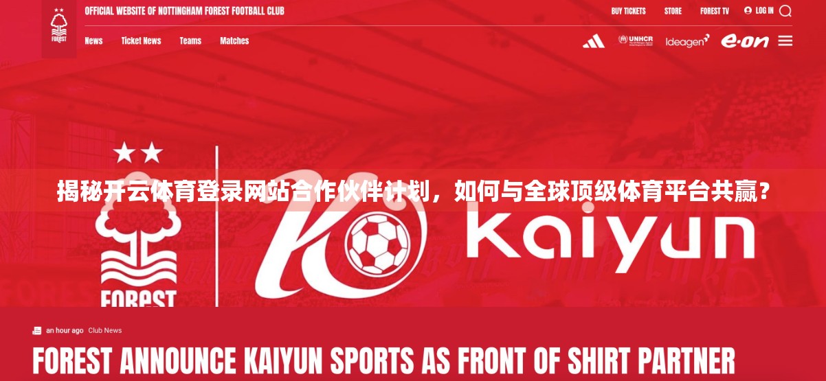 揭秘开云体育登录网站合作伙伴计划，如何与全球顶级体育平台共赢？