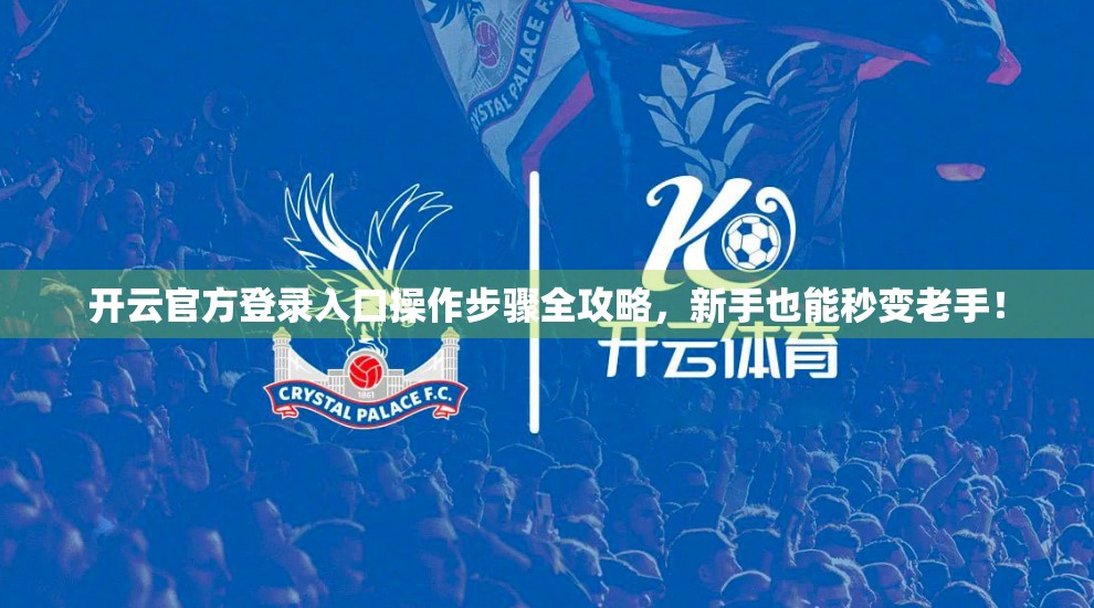 开云官方登录入口操作步骤全攻略，新手也能秒变老手！