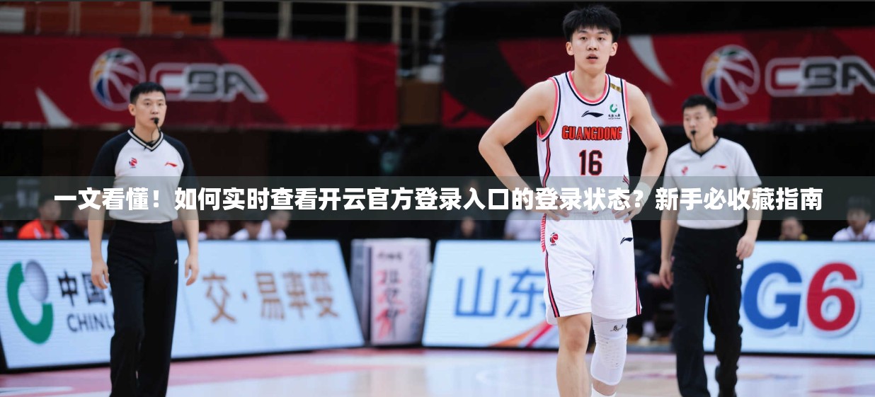 一文看懂！如何实时查看开云官方登录入口的登录状态？新手必收藏指南