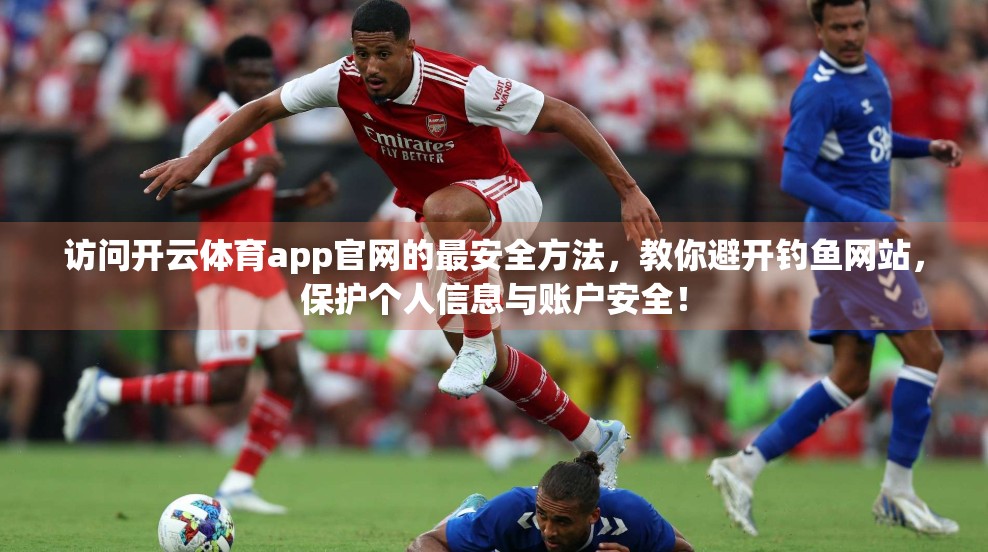 访问开云体育app官网的最安全方法，教你避开钓鱼网站，保护个人信息与账户安全！