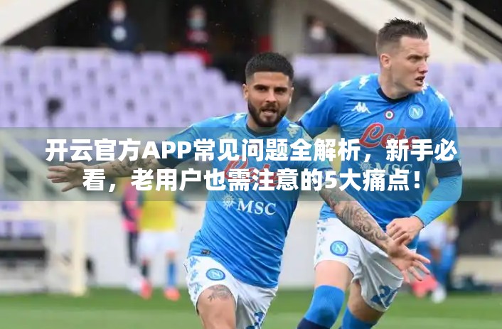开云官方APP常见问题全解析，新手必看，老用户也需注意的5大痛点！