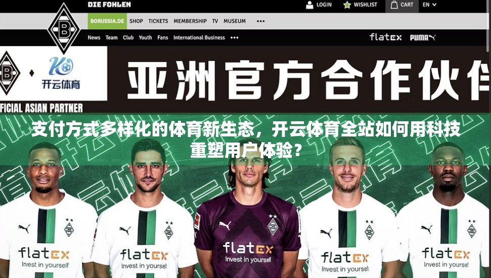 支付方式多样化的体育新生态，开云体育全站如何用科技重塑用户体验？