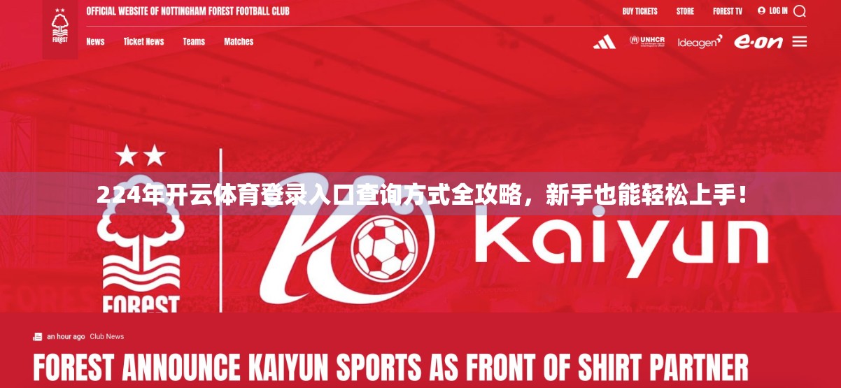 224年开云体育登录入口查询方式全攻略，新手也能轻松上手！