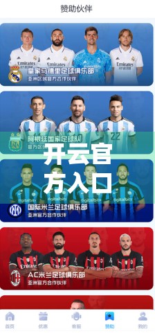 开云官方入口的安全验证流程全解析，如何保障你的数字资产安全？