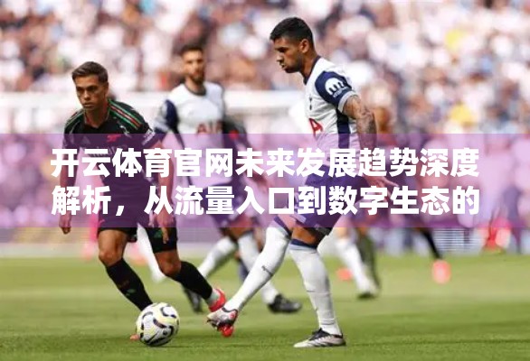 开云体育官网未来发展趋势深度解析，从流量入口到数字生态的跃迁之路