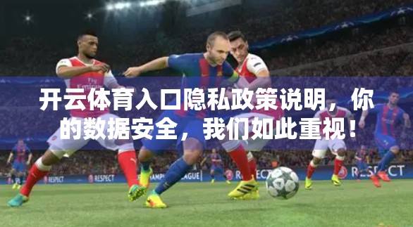 开云体育入口隐私政策说明，你的数据安全，我们如此重视！